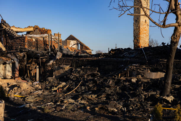 Reliable Content Restoration contractor in Luke Air Force Base, AZ by Fire Damage Laser Cleaning